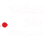 Udruženje Roma Novi Bečej - logo